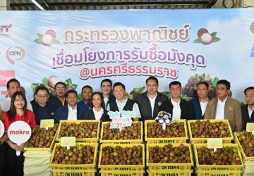 Jatuporn, full of energy, and Suchart, go to Nakhon Si Thammarat to solve the southern mangosteen problem, pushing the department store to buy 3 million kg.