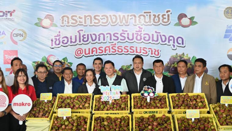 Jatuporn, full of energy, and Suchart, go to Nakhon Si Thammarat to solve the southern mangosteen problem, pushing the department store to buy 3 million kg.